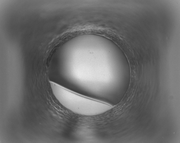 X0000056011493200508190840