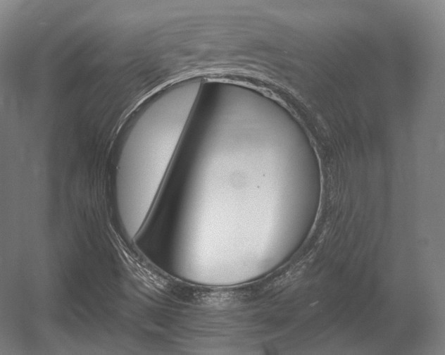 X0000056011497200508190840
