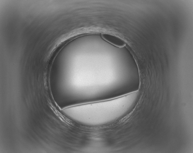 X0000056011499200508190840