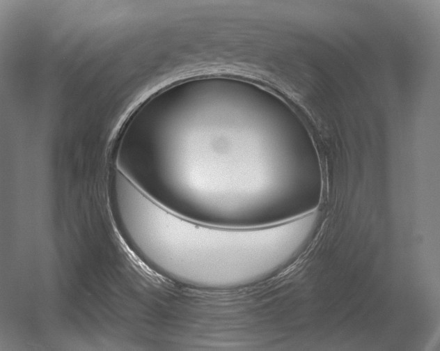 X0000056011500200508190840