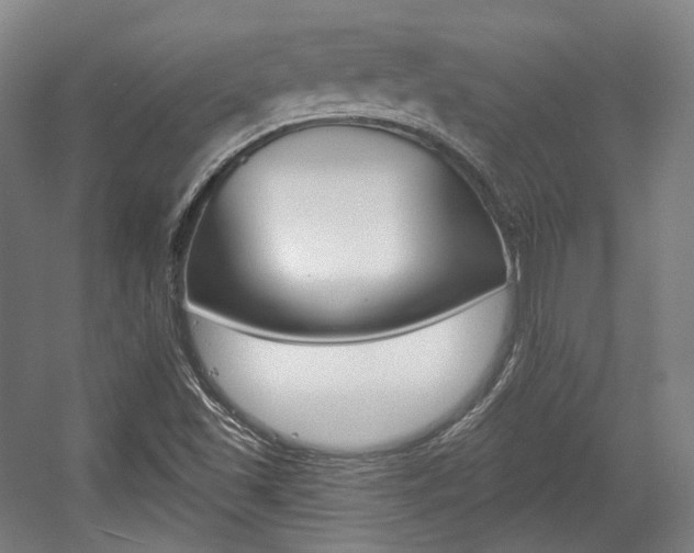X0000056011501200508190840
