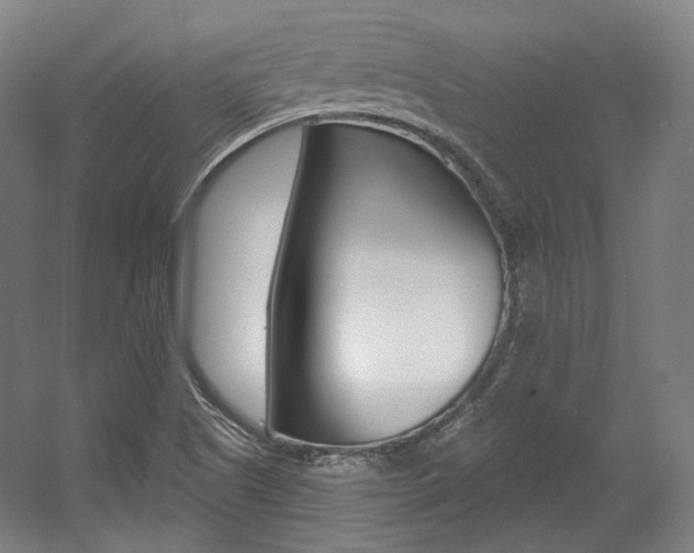 X0000056011505200508190840