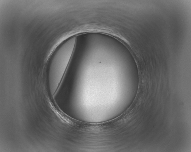 X0000056011507200508190840