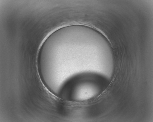 X0000056011508200508190840