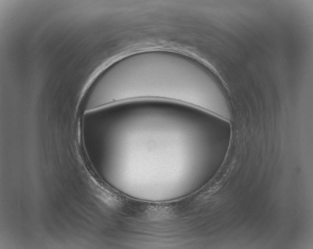 X0000056011509200508190840