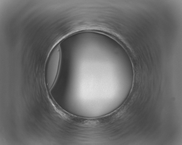X0000056011513200508190840