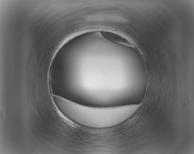 X0000056011535200508190841
