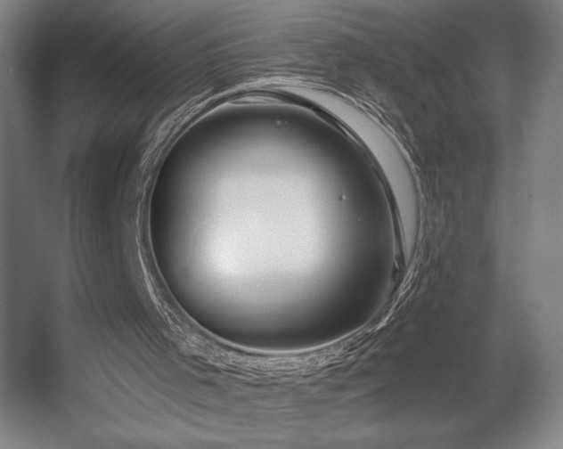 X0000056010001200508191313