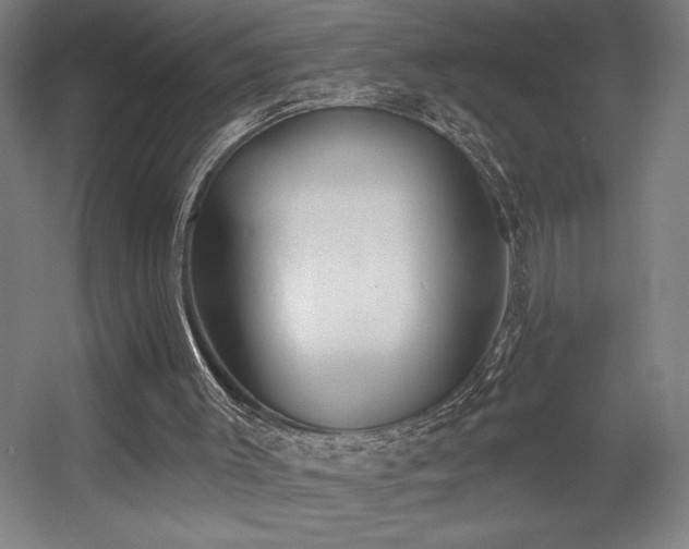X0000056010003200508191313