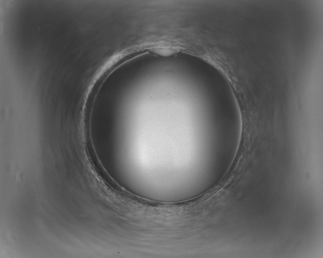 X0000056010008200508191313