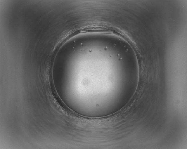 X0000056010010200508191313