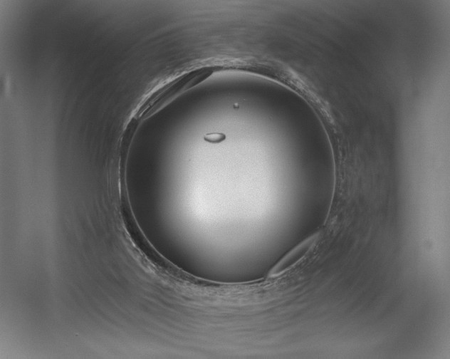 X0000056010011200508191313
