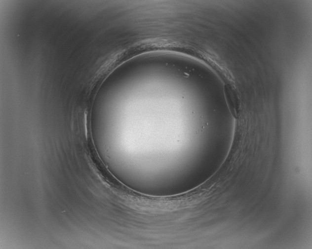X0000056010014200508191313