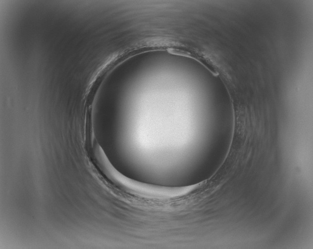 X0000056010015200508191313