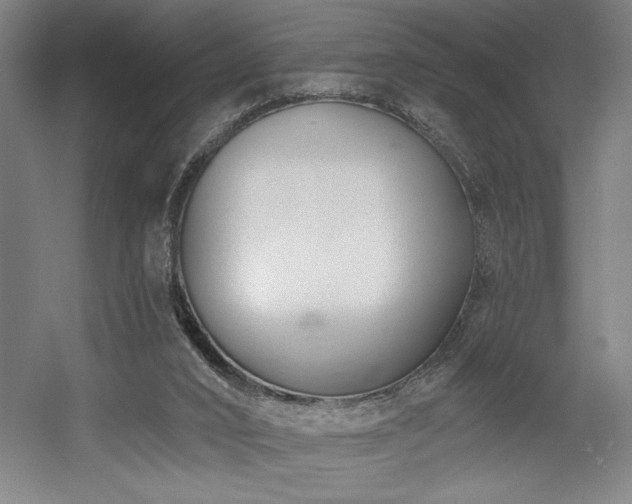 X0000056010016200508191313