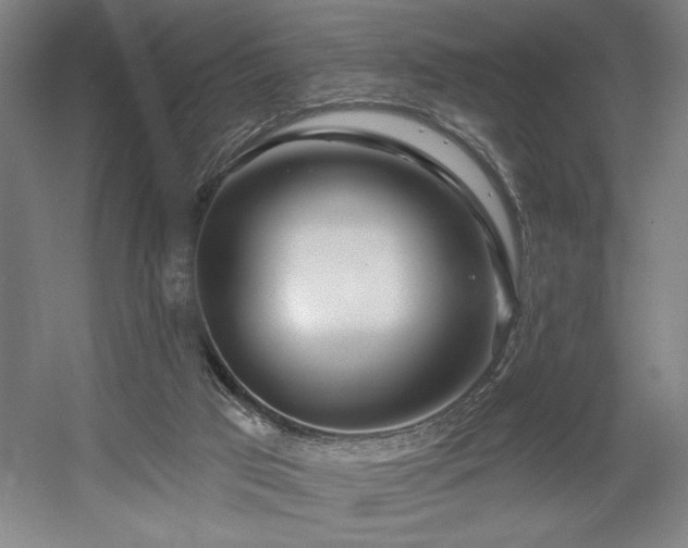X0000056010017200508191313