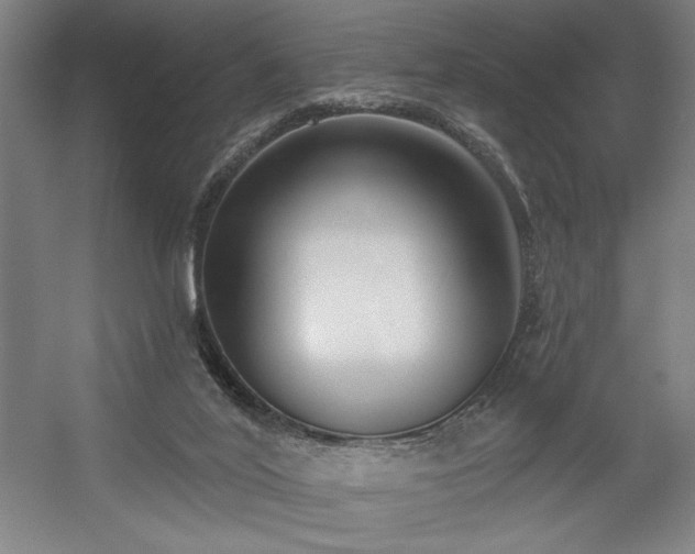 X0000056010020200508191313