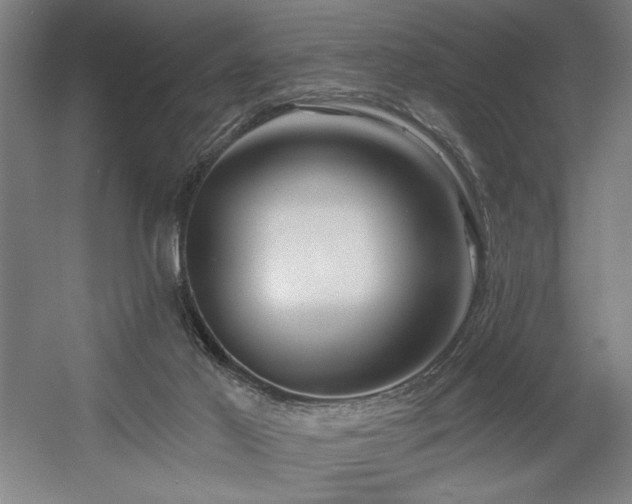 X0000056010021200508191313