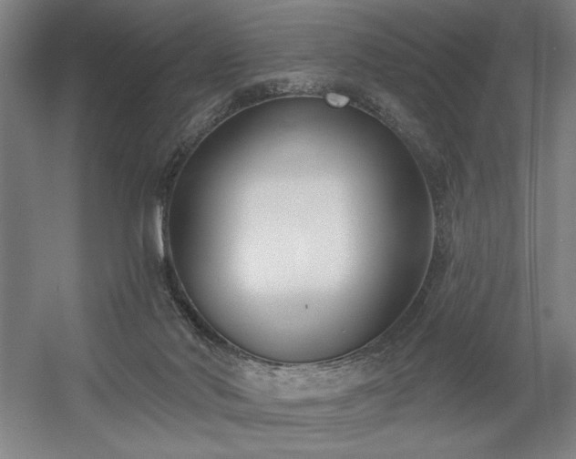 X0000056010022200508191313
