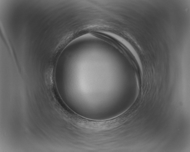 X0000056010023200508191313