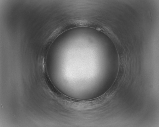 X0000056010024200508191313