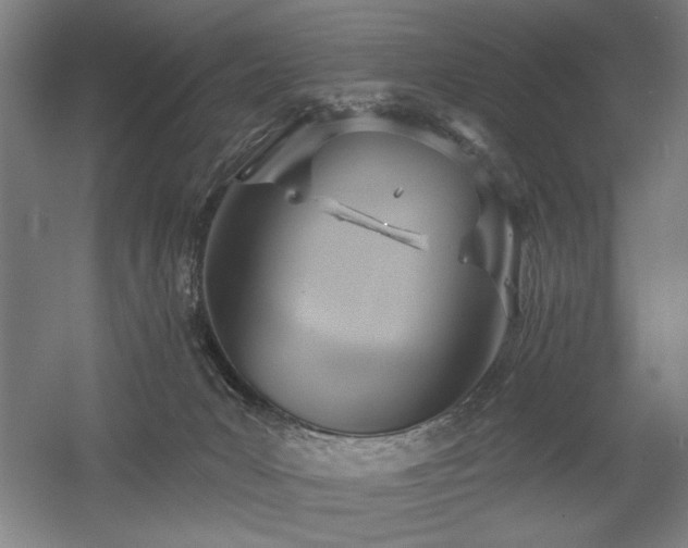X0000056010031200508191313