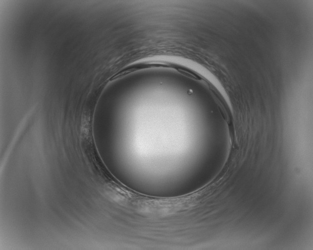 X0000056010033200508191313