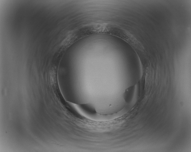 X0000056010035200508191313