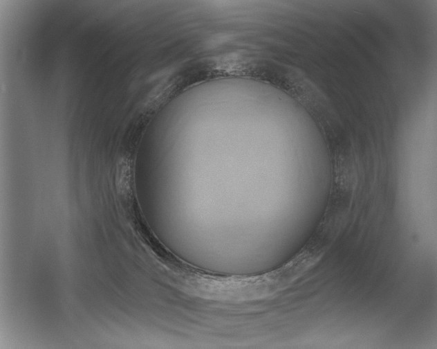 X0000056010036200508191313