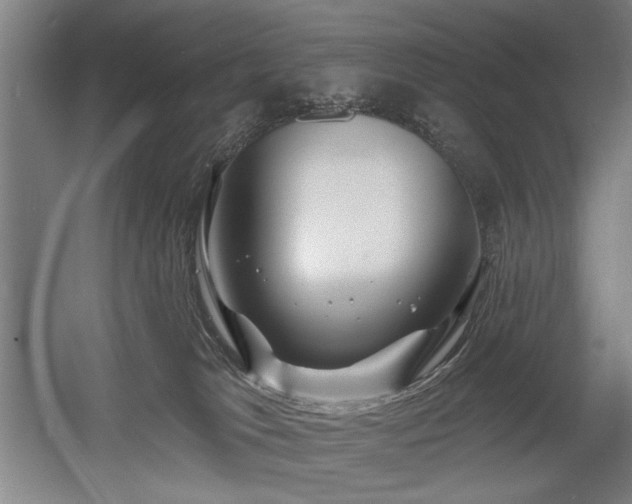 X0000056010037200508191313
