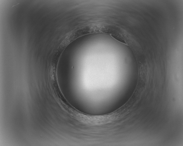 X0000056010038200508191313