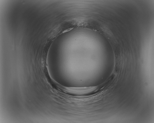 X0000056010039200508191313