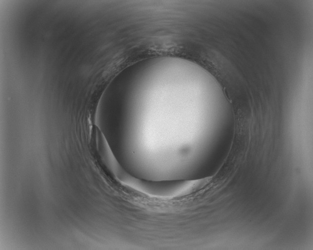 X0000056010040200508191313
