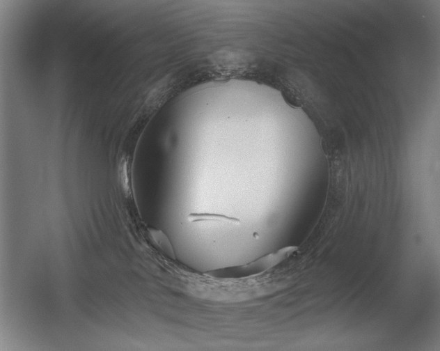 X0000056010042200508191313