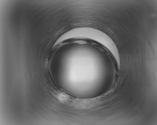 X0000056010045200508191313