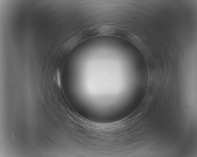 X0000056010046200508191313