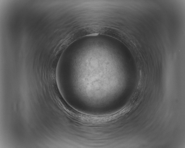 X0000056010048200508191313