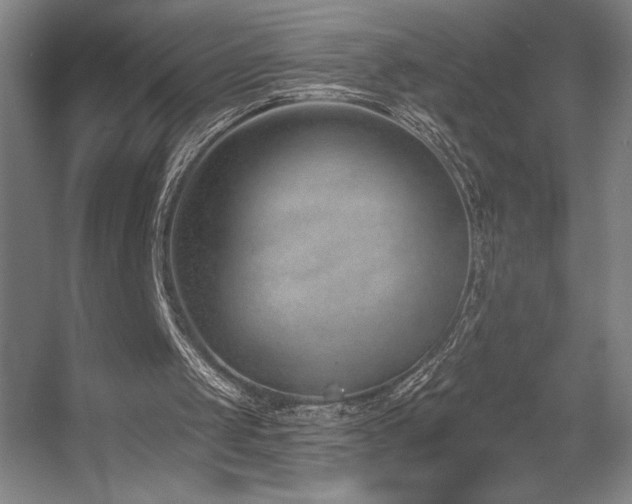 X0000056010049200508191312