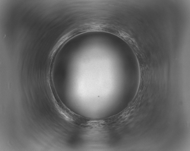 X0000056010051200508191312