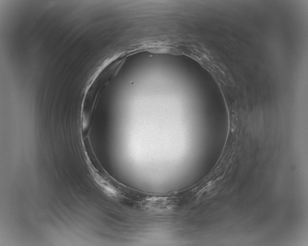 X0000056010052200508191312