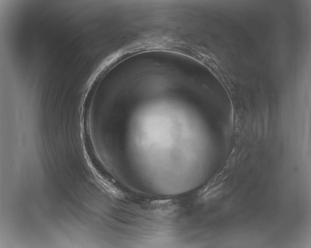X0000056010054200508191312