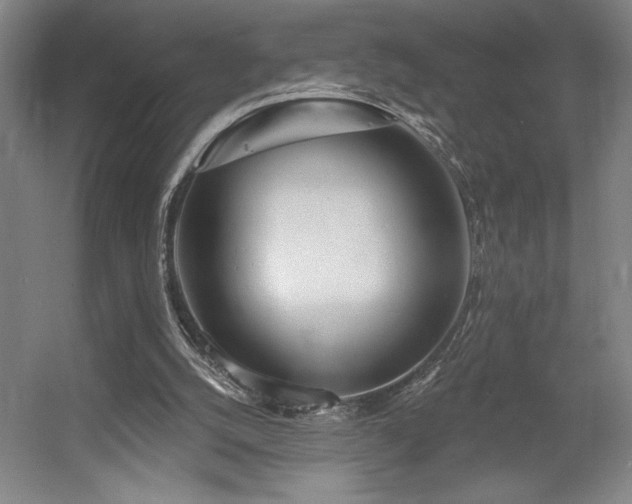 X0000056010056200508191312
