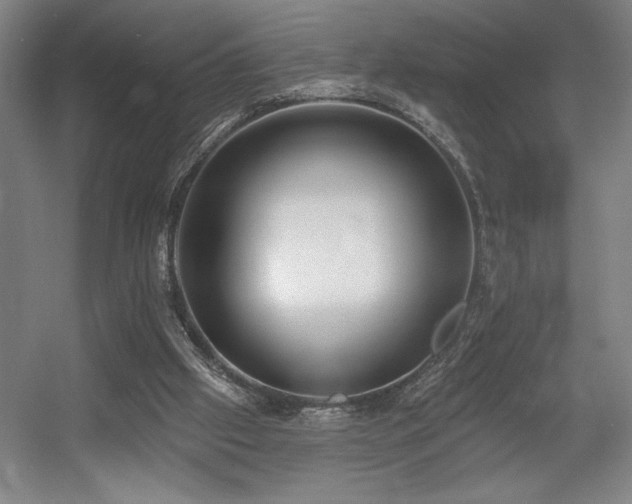 X0000056010057200508191312