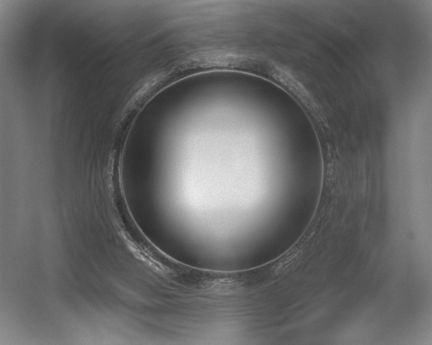X0000056010058200508191312