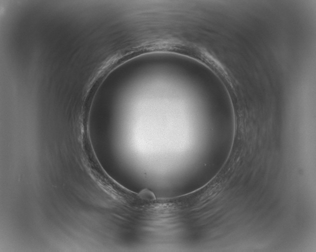 X0000056010059200508191312