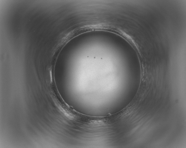 X0000056010061200508191312