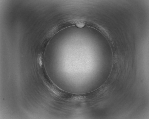X0000056010069200508191312