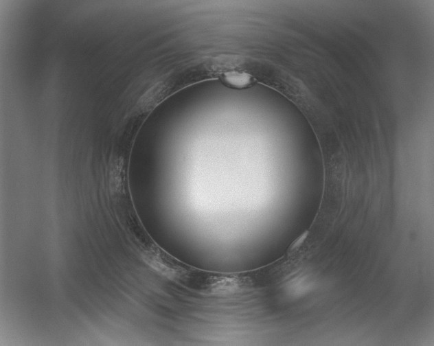 X0000056010083200508191312