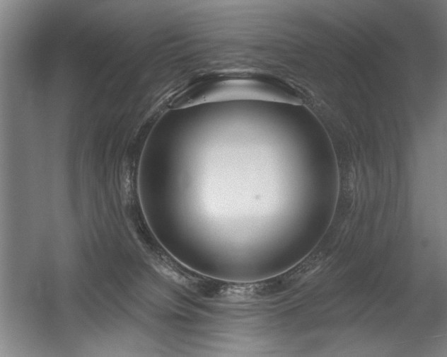 X0000056010084200508191312