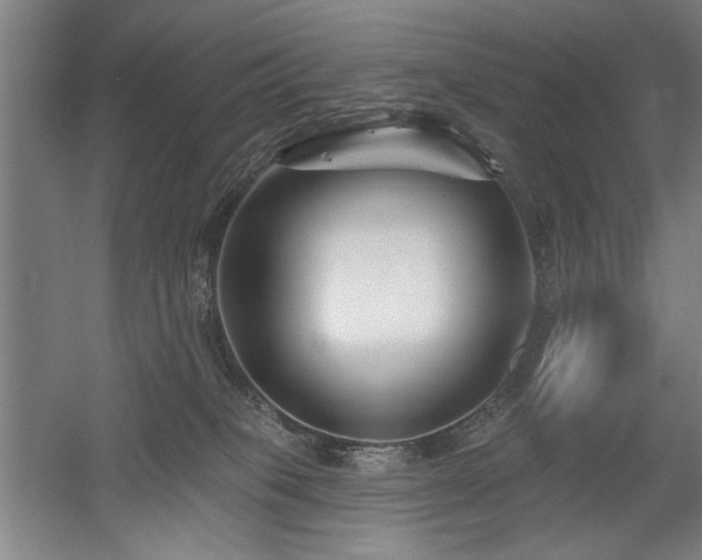 X0000056010085200508191312